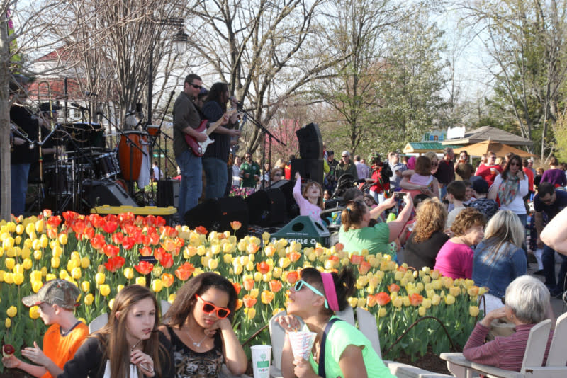 Image is of a band playing at the Cincinnati Zoo with people standing and sitting around listening.