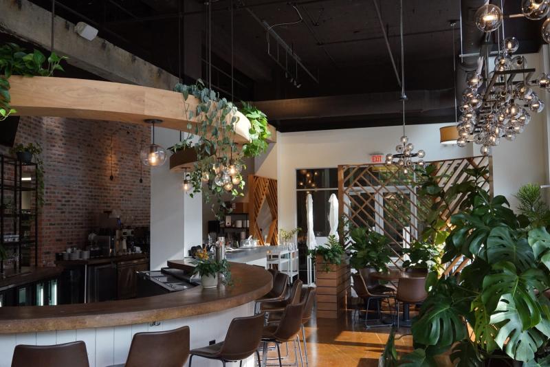 Coffee shop with greenery and a semi-circle bar