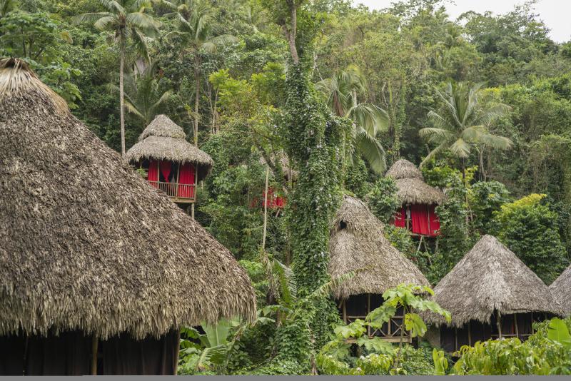 Dominican Treehouse Village Samaná