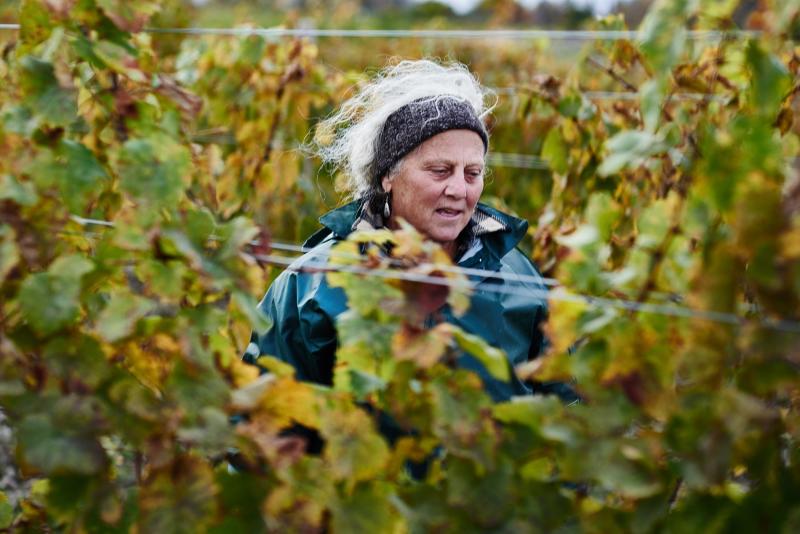 Debra Bermingham, Bloomer Creek Vineyard