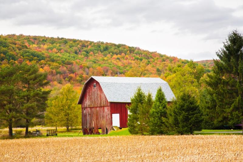 Barn with fall foliage