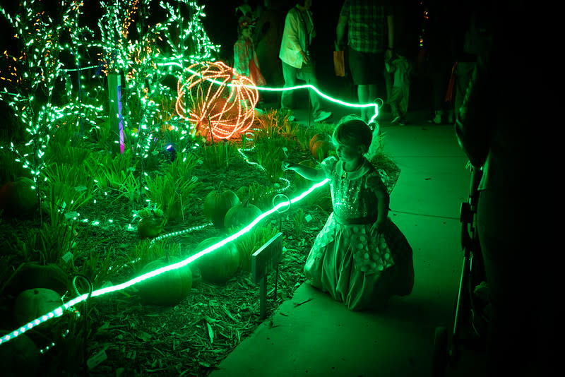 Pumpkins on Parade 2022