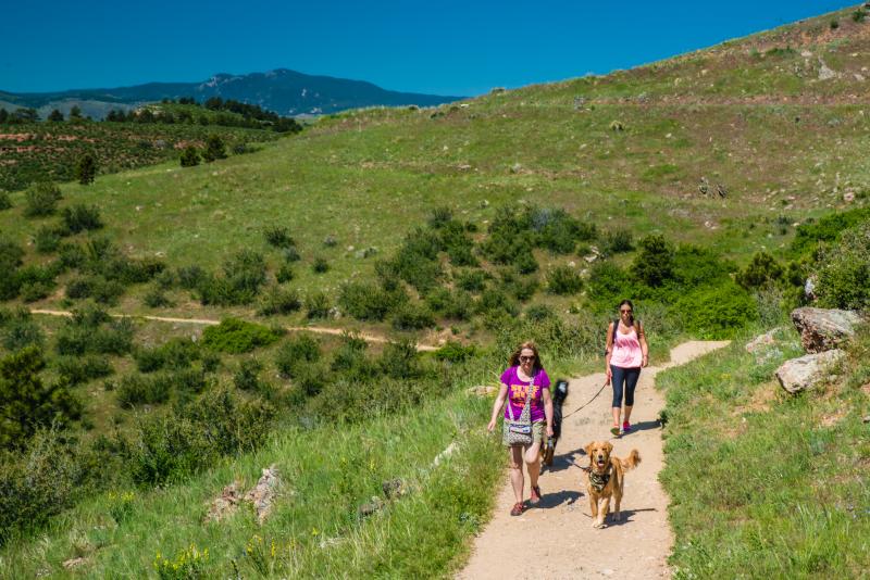 Dogs hiking