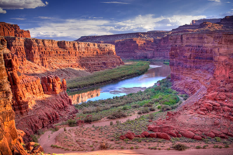 A scenic vista featuring the Colorado River carving through the red rock canyons of Canyonlands National Park in Utah.