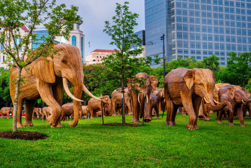 The Great Elephant Migration