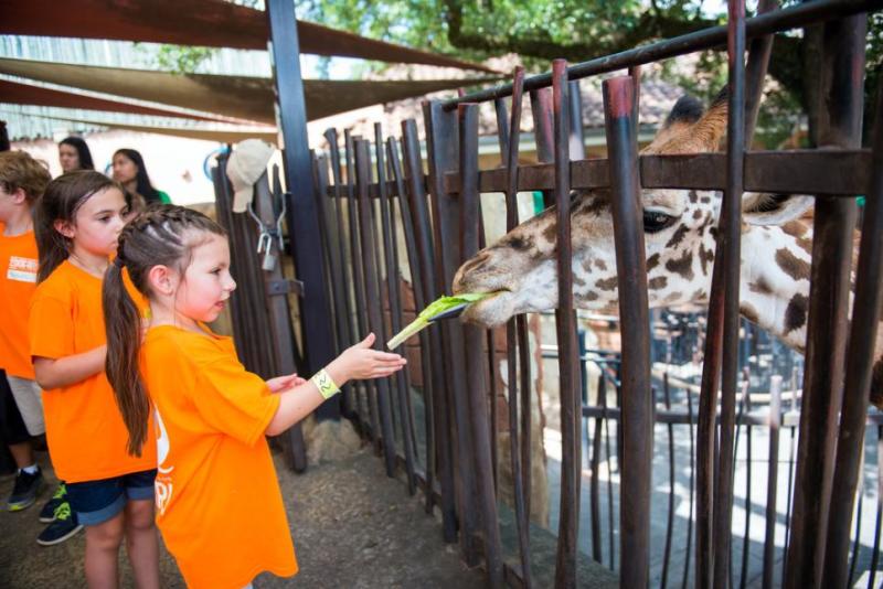Houston Zoo