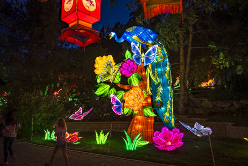 Radiant Nature - Houston Botanic Garden