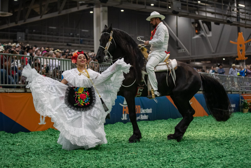 Houston Livestock Show and Rodeo