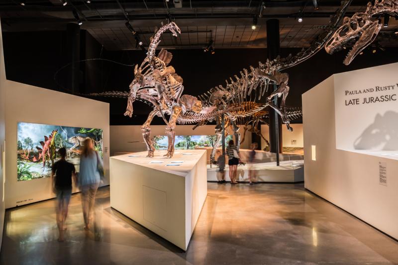 Museum of Natural Science