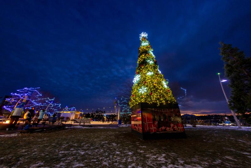 Christmas Tree Downtown