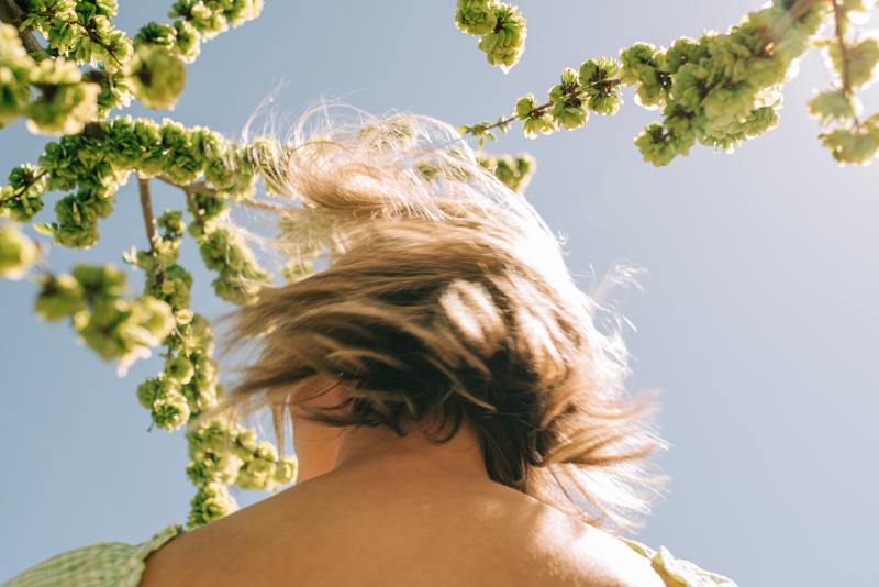 Hair_Flow_with_Spring_Tree_Growth