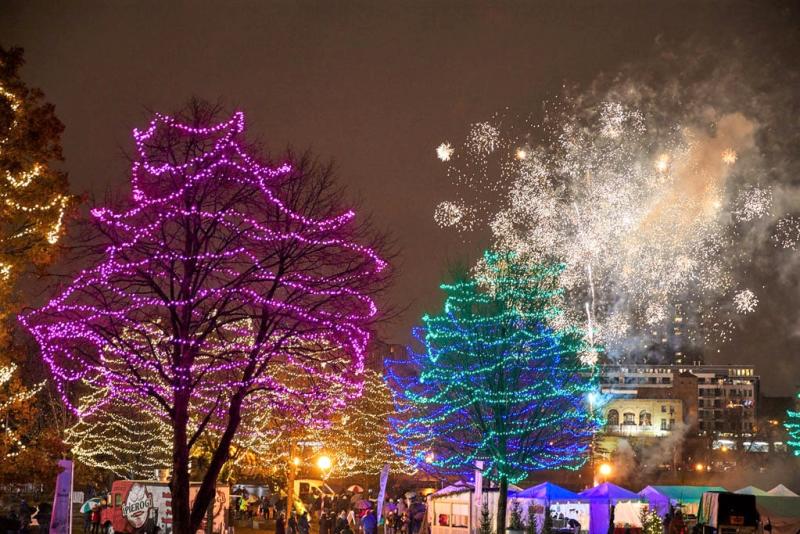 Trees adorned with purple, yellow, green ,and blue string lights at holidazzle