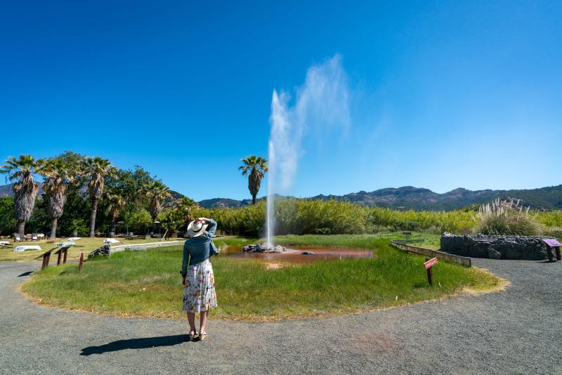 Old Faithful Geyser in Calistoga