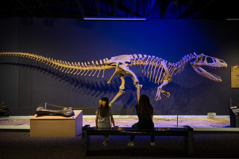 Tucumcari Dino Museum