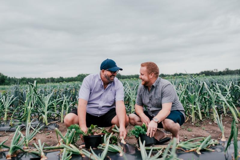Thames River Men Harvest Field