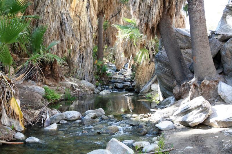 Indian Canyons -Andreas Canyon