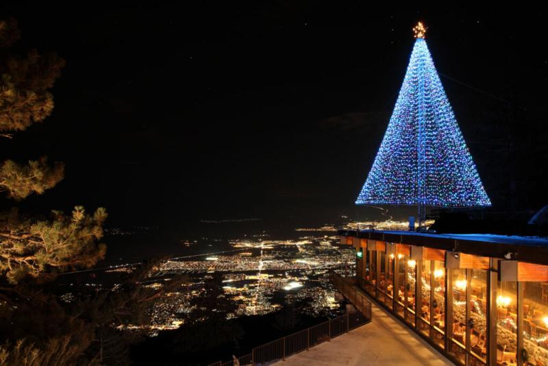 Tram Christmas Tree