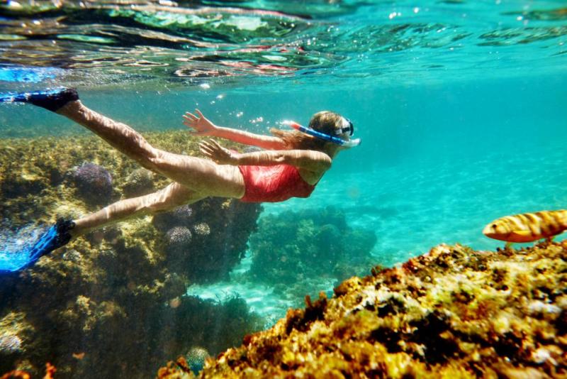 Rottnest underwater snorkel