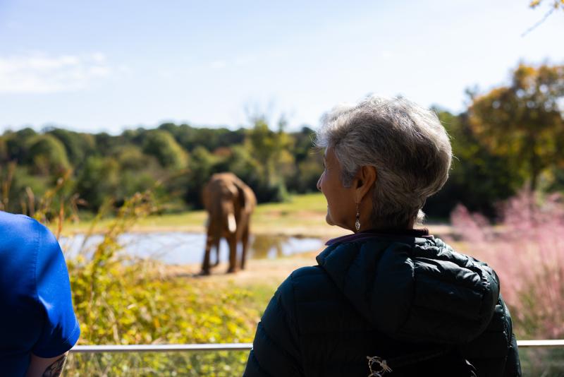 Guests exploring the Elephants at the North Carolina Zoo in Asheboro, NC