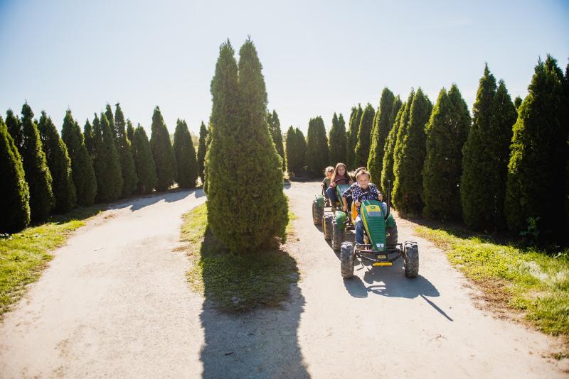 kids on pedal carts