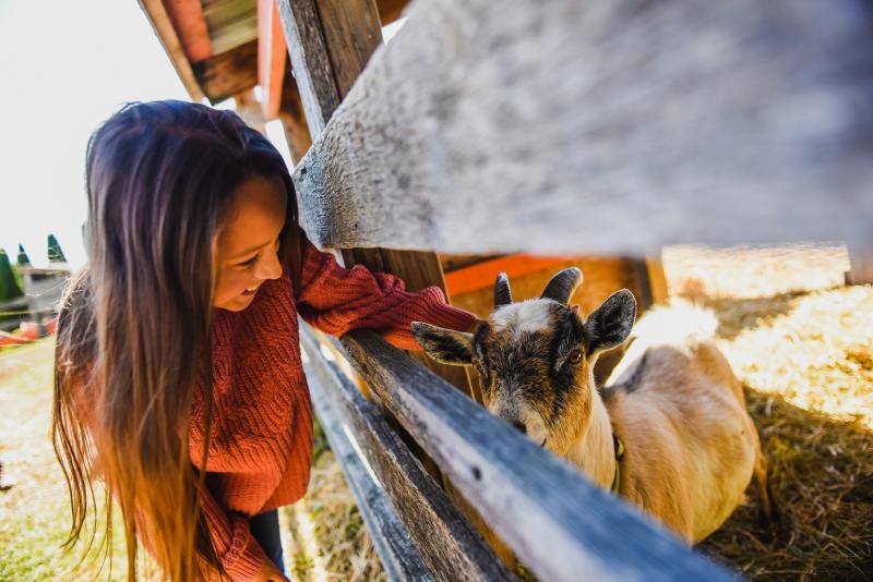 girl petting goat
