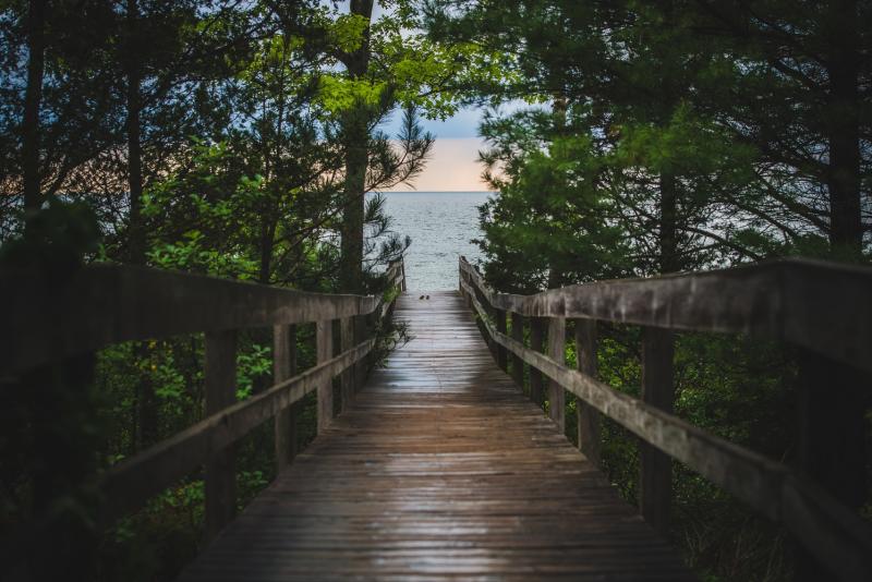 Walkway to Water in Park