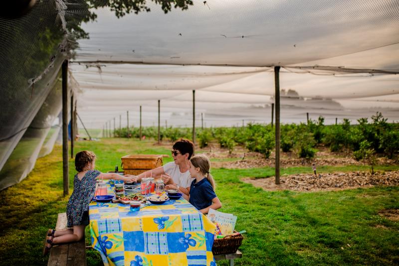 family enjoying picnic