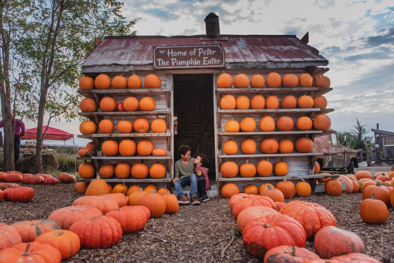 2 kids in pumpkins