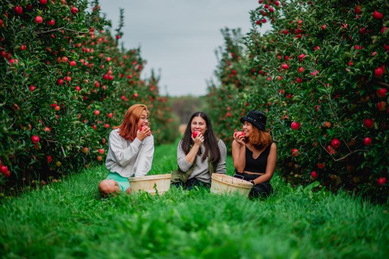 3 women eating apples in orchard