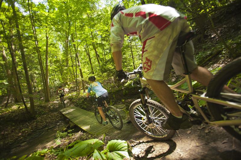 Cycling trail in Norfolk