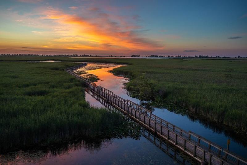 Point Peele National Park