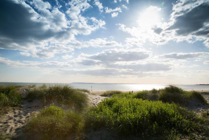 Dune with scrub overlooking the ocean on a partly cloudy day East Head in Chichester