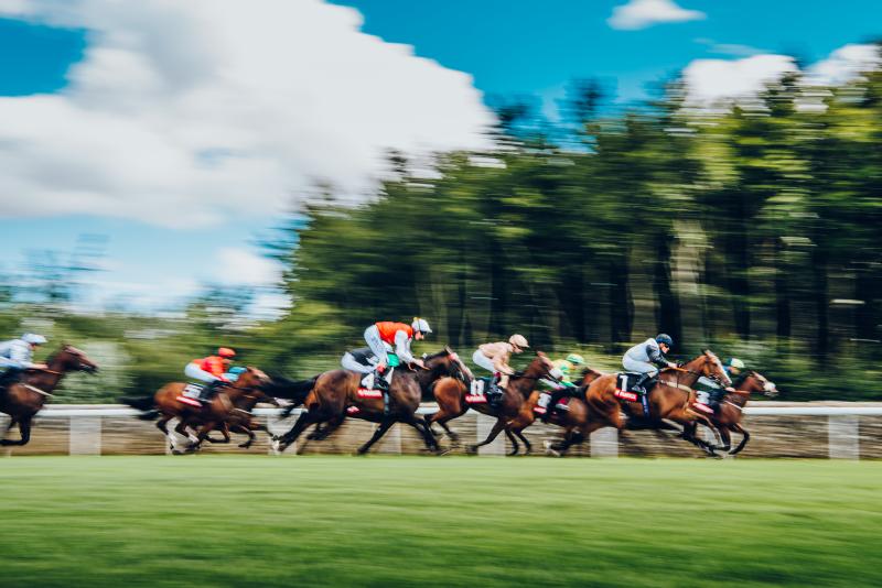 Horses racing at Qatar Goodwood Festival