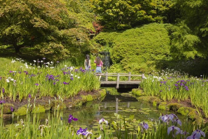 Two women stand on a wooden bridge on a pond, surrounded by flowers at Wakehurst gardens