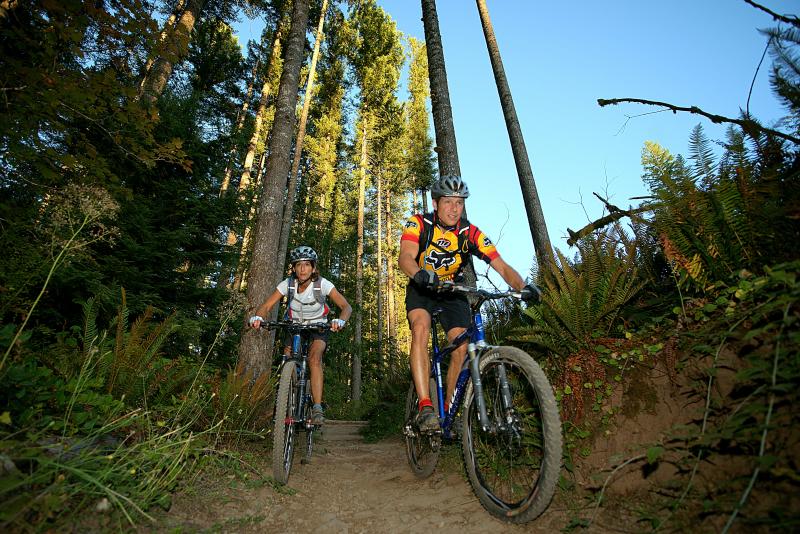 Two people mountain biking through a forest