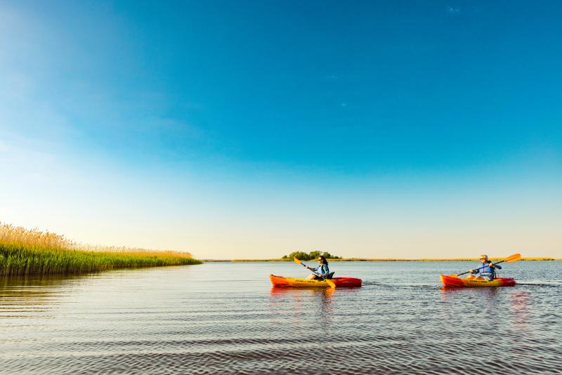 two people kayaking in flat water towards tall grass