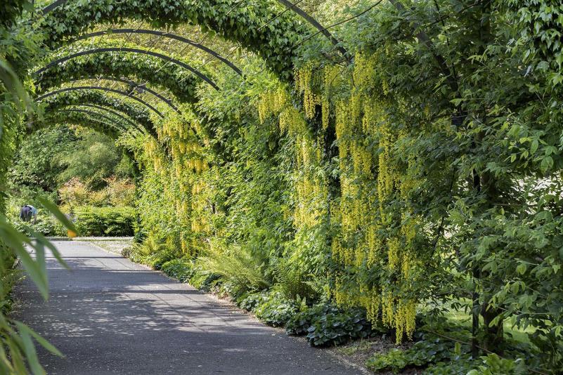 West Dean Gardens