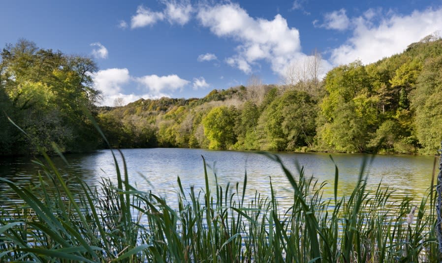 Woodchester Park