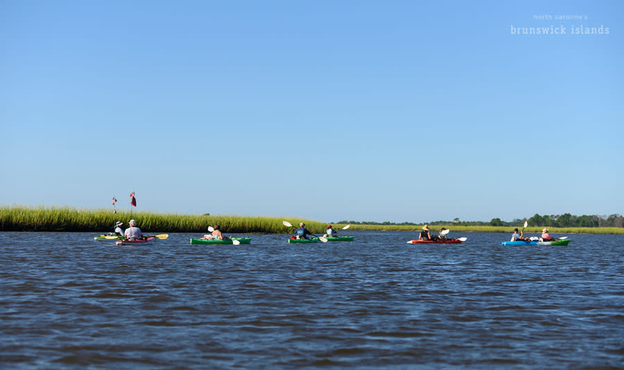 a group of kayaks heading towards marshland