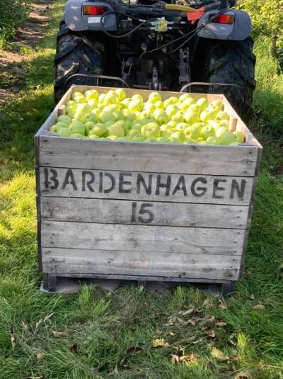 Bardenhagen Apple Harvest