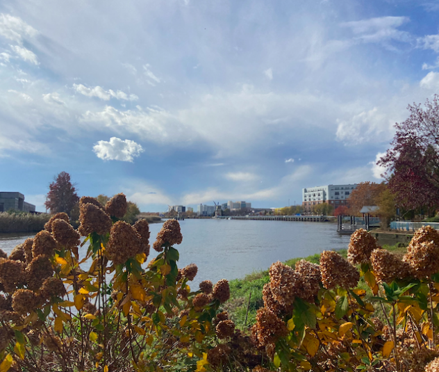 Riverfront Wilmington