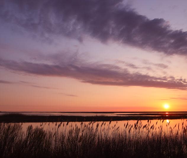 Bombay Hook National Wildlife Refuge Sunrise