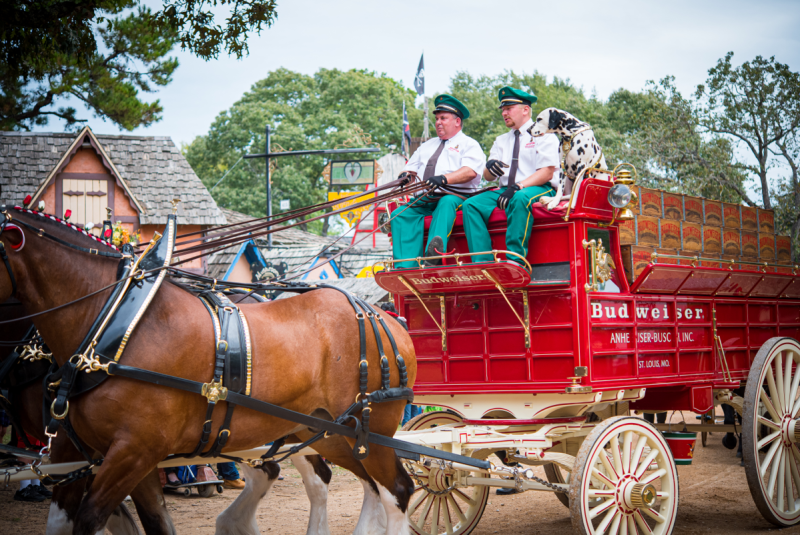 Two men and a dog riding on a wagon being pulled by horses