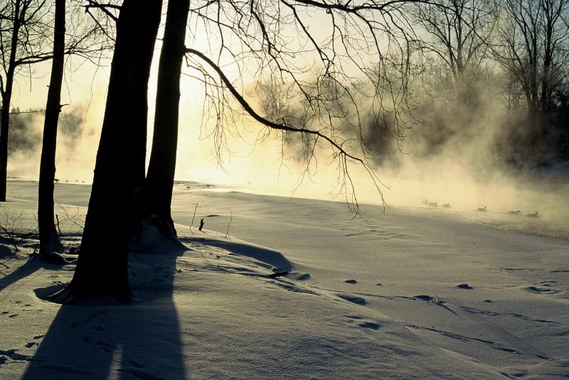 London winter trail