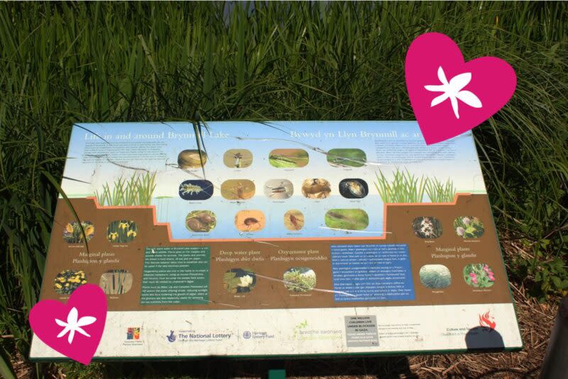 A nature board in a park.