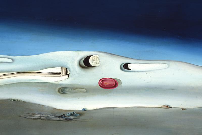 Sensory-Friendly Sunday