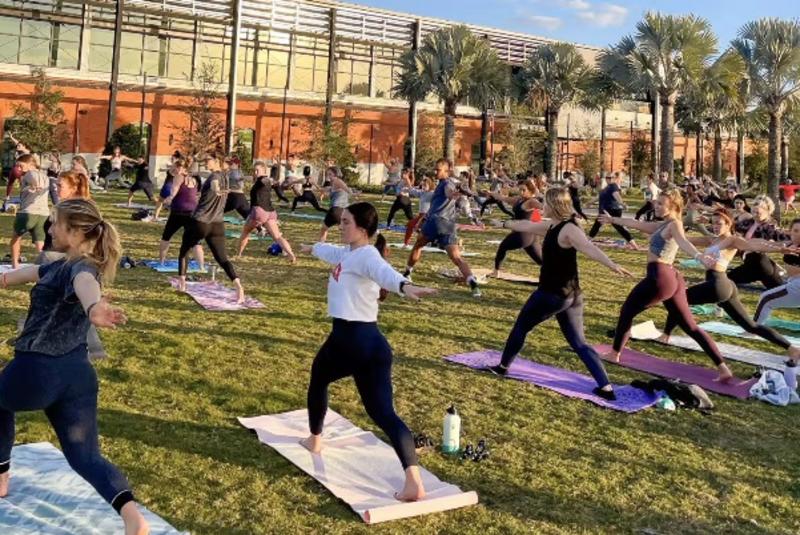 Barre with The Bar Method