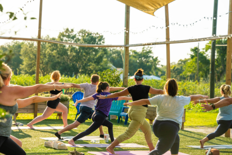 Yoga in the Vines