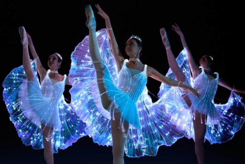 Ballet of Lights: Sleeping Beauty in a Sparkling Show - Tampa