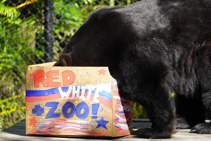 'Red, White and Zoo' Celebration